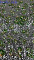 スケッチン 刺身 織物 デザイン を 優雅 と スタイリッシュ に 上げ て ください