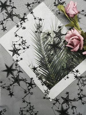 黒い星の形のスパンコールは生地を刺繍した