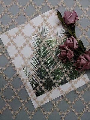 テュルの刺繍の金属レースの生地のイブニング・ドレスの生地