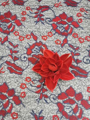 赤く大きい花の着色された刺繍のかぎ針編みのレースの生地の女性の服