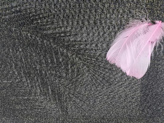 金Lurexはテュルの女性の底を付けるワイシャツのための金属レースの生地を一致させる