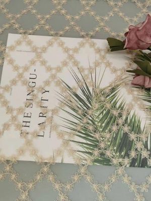 テュルの刺繍の金属レースの生地のイブニング・ドレスの生地