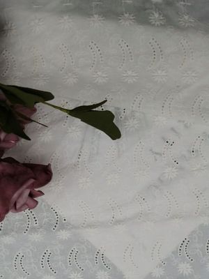 柔らかいレースはパーティー向きのドレスのためのアイレット生地の綿布を刺繍した