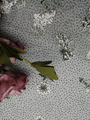 着色されたホイルは刺繍されたレースの生地の微光テュルを印刷した
