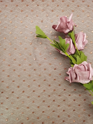 ブラウン色はレースの生地の金属テュルのレースの軽量の点のレースを刺繍した